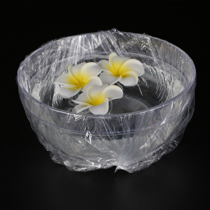 Small Size Cleansing Bonsai Cover Transparent Makeup Accessories