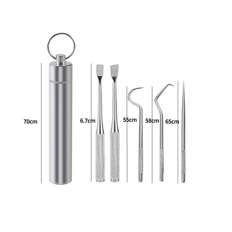 Stainless Steel Toothpick Portable Carry Dental Makeup Accessories