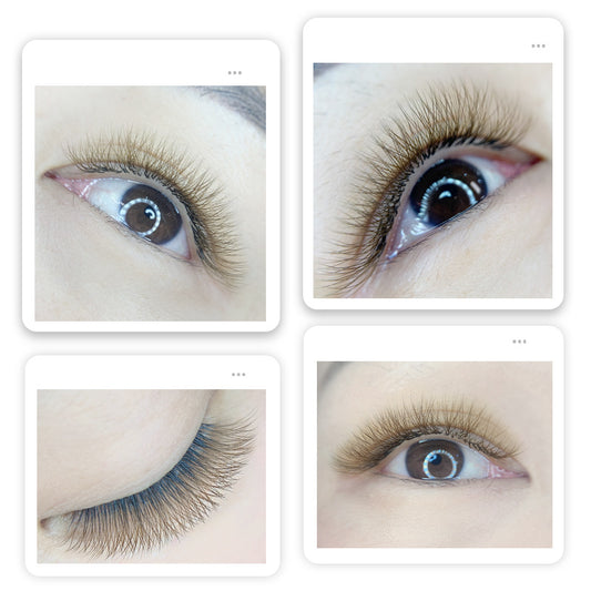 Fairy Flower Soft Not Scattered Root Finished False Lashes