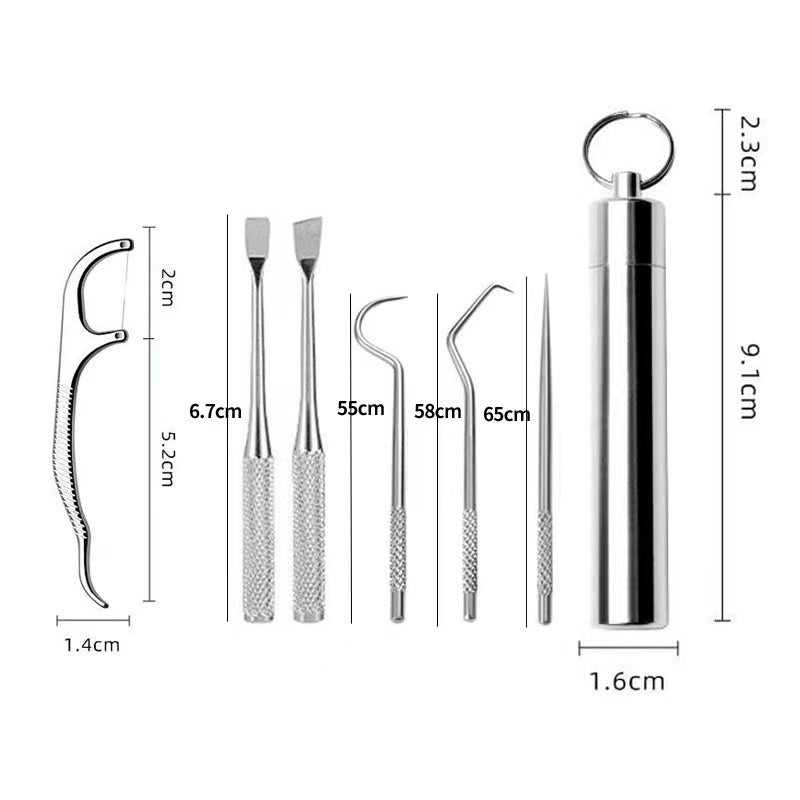 Stainless Steel Toothpick Portable Carry Dental Makeup Accessories