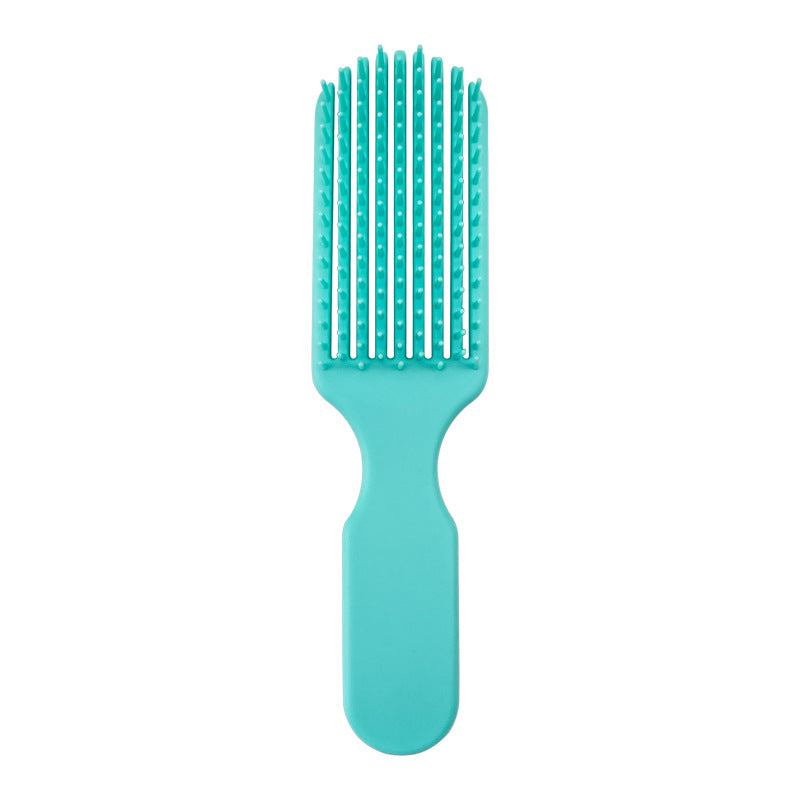 Brosses et peignes pour cheveux secs et humides, portables et de voyage