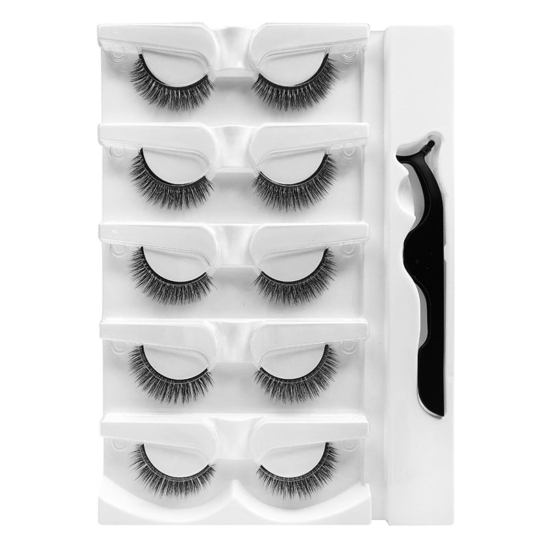 Warm Eyelashes Natural Soft With Tweezers False Lashes