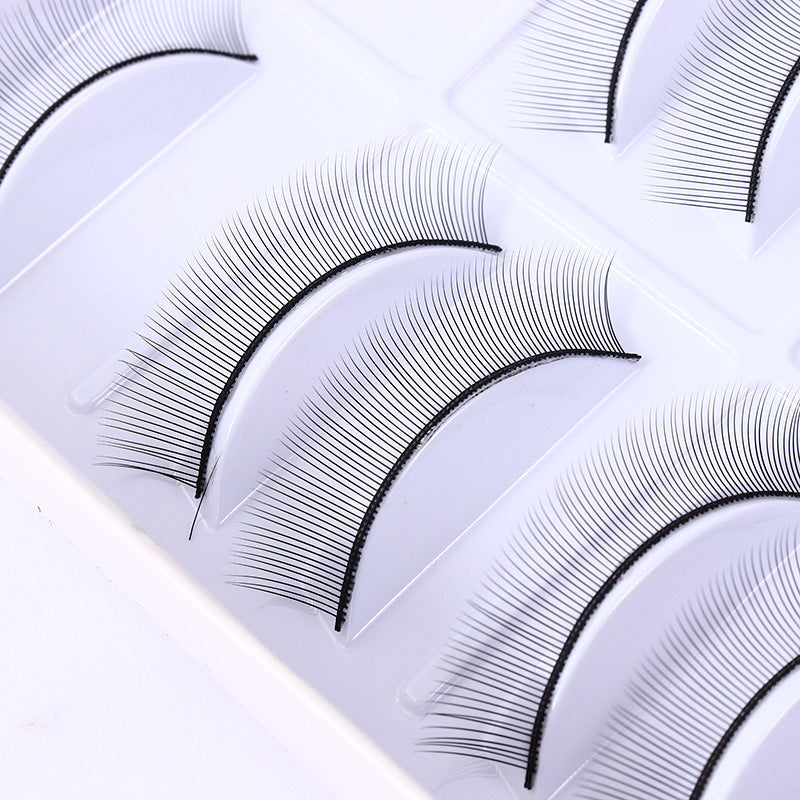 Practice Eyelash School Simulation Pairs Planting False Lashes