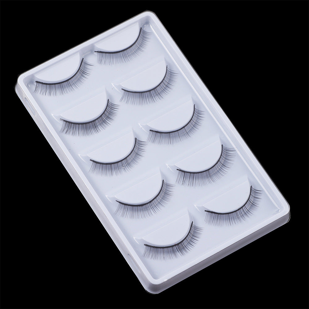 Artificial Plain Natural Five Double Pairs False Lashes