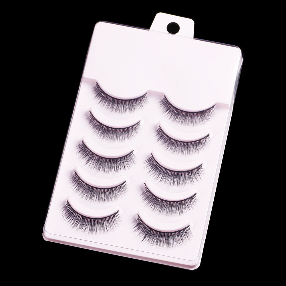 Artificial Plain Natural Five Double Pairs False Lashes