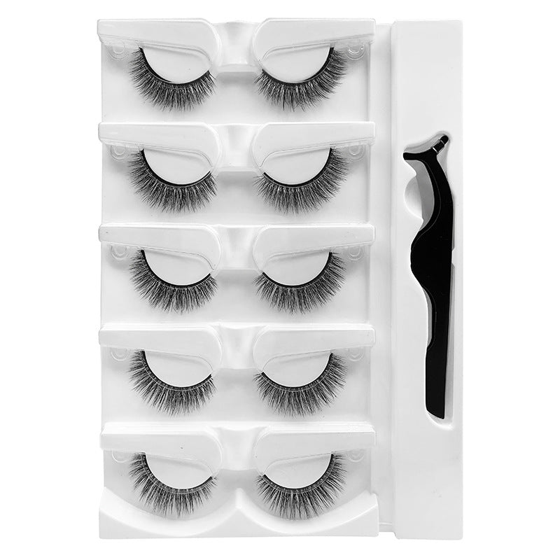 Warm Eyelashes Natural Soft With Tweezers False Lashes