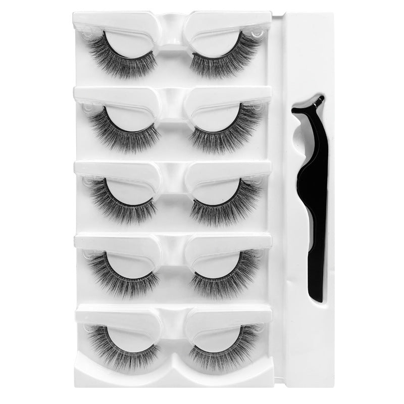 Warm Eyelashes Natural Soft With Tweezers False Lashes