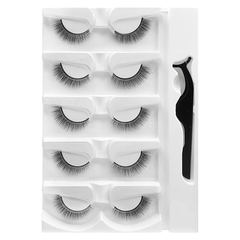 Warm Eyelashes Natural Soft With Tweezers False Lashes