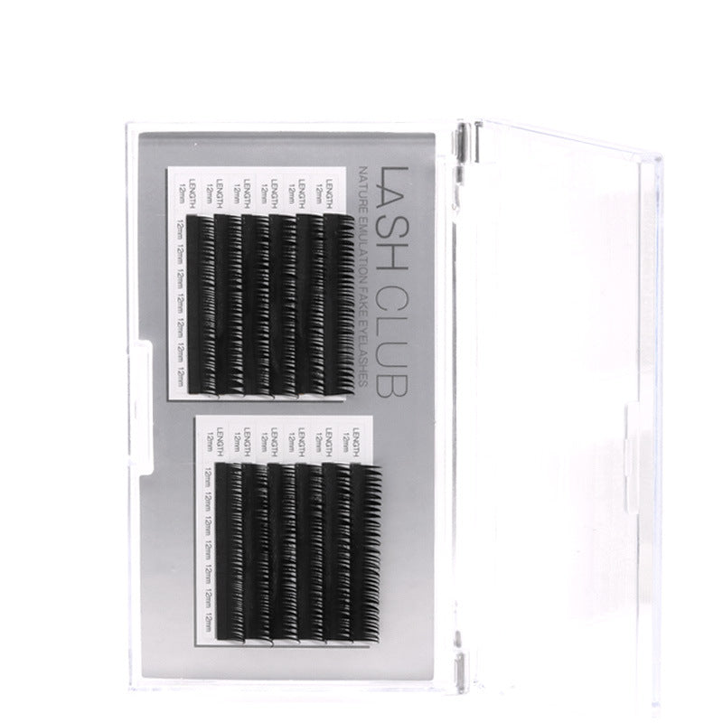 Warped Camellia Veet Single Take Salon False Lashes