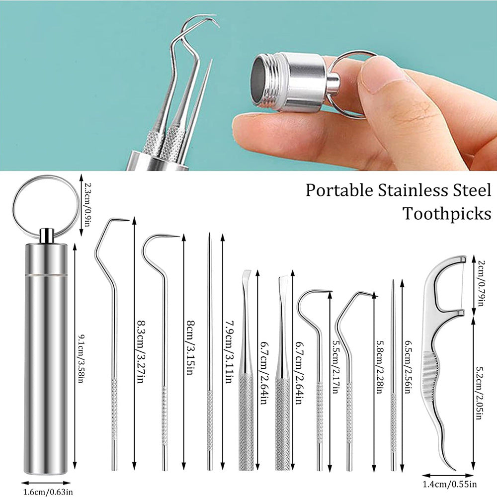 Stainless Steel Toothpick Portable Carry Dental Makeup Accessories