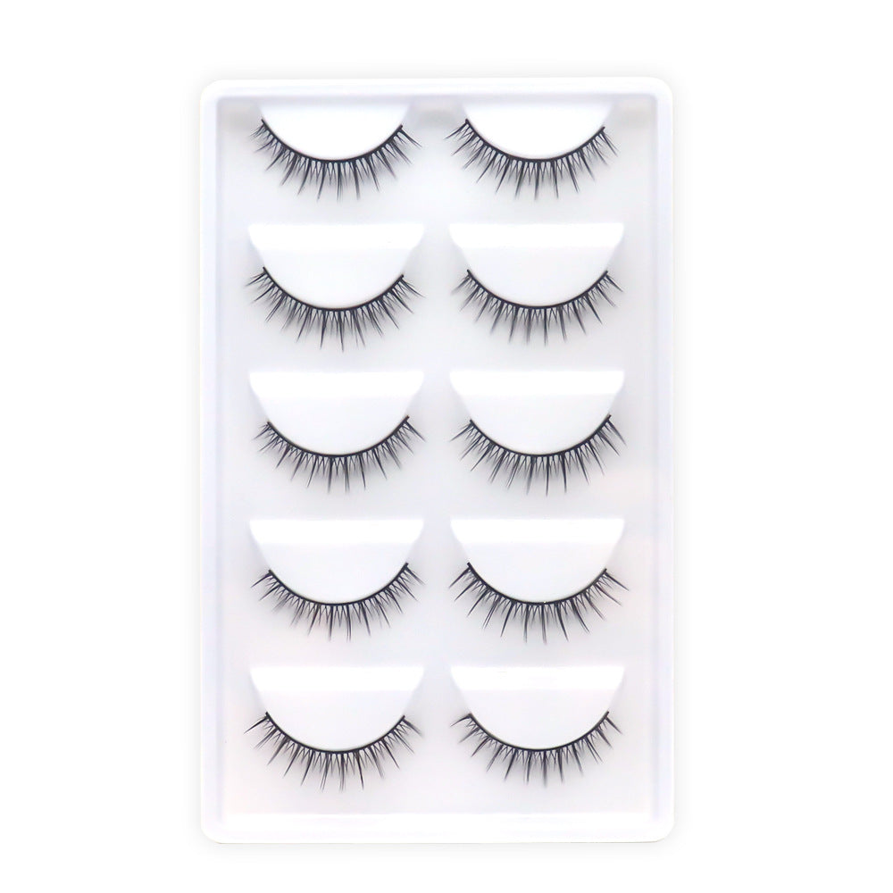 Women's Hard Stem Eyelash Team Fairy Daily No Nude False Lashes