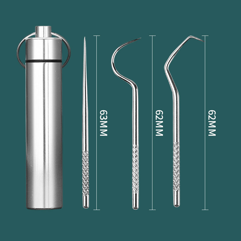 Stainless Steel Toothpick Portable Carry Dental Makeup Accessories