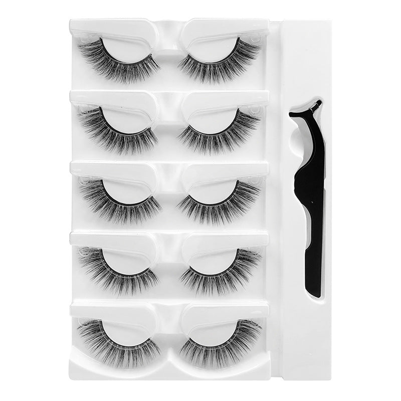 Warm Eyelashes Natural Soft With Tweezers False Lashes