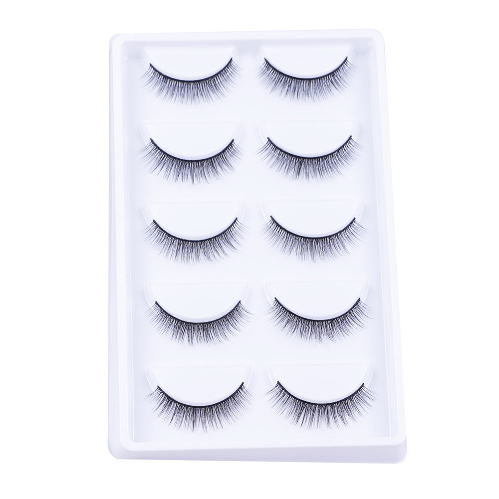 Artificial Plain Natural Five Double Pairs False Lashes