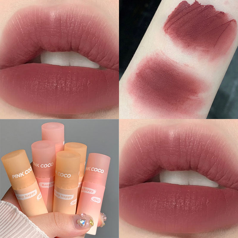 Vigorous Lacquer Light Fog Matte Mud Lip Glosses