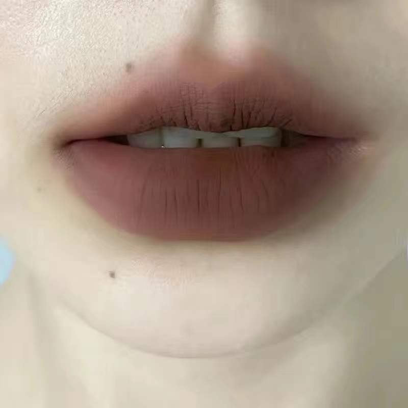 No Stain On Cup Niche Dark Lip Glosses