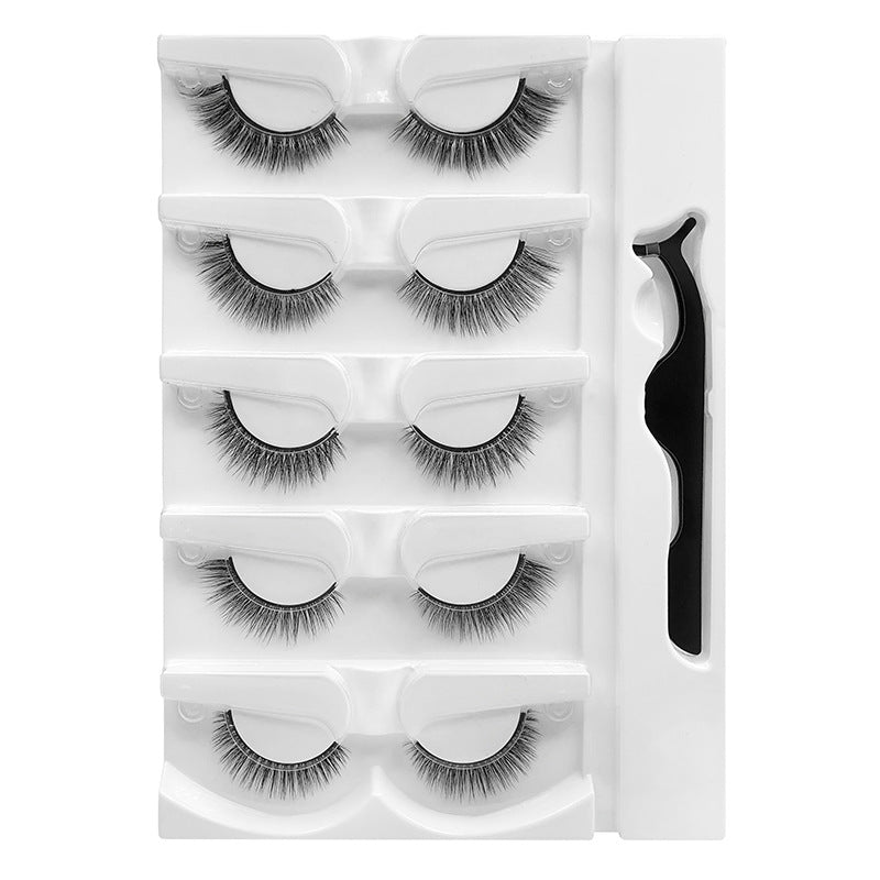 Warm Eyelashes Natural Soft With Tweezers False Lashes